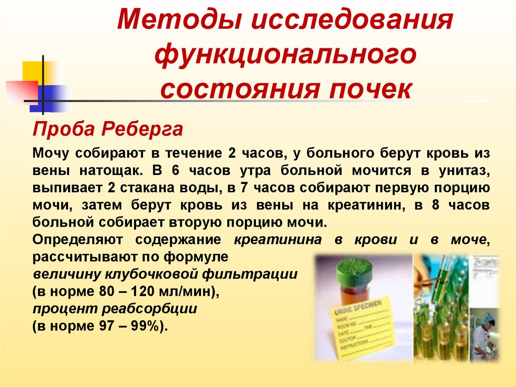 Проба нечипоренко. Проба Зимницкого и Реберга. Методика исследования пробы Реберга. Исследование функционального состояния почек. Функциональные пробы почек проба Реберга.