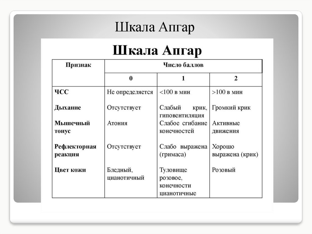 Шкала апгар на 5 минуте