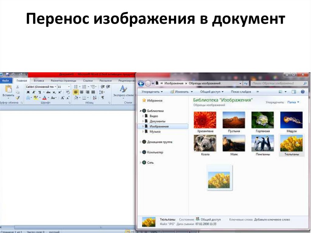 Как вставить картинку в windows form