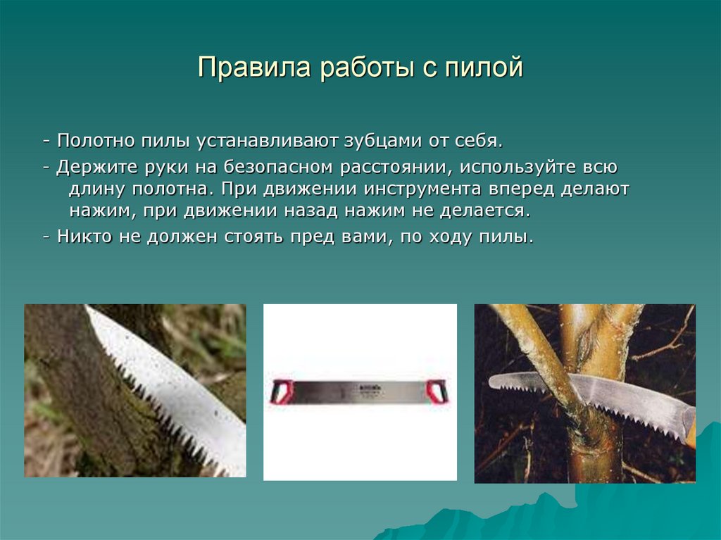 Что такое пил. Правила работы с пилой. Правила безопасной работы с пилой. Техника безопасности при работе с пилой. Правила техники безопасности при работе с пилой.