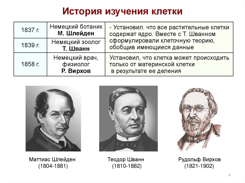 Методы клеточной теории. История изучения клетки Маттиас. Вклад в изучение клетки Шлейден. Вклад в изучение клетки Шванн. Шванн история изучения клетки.