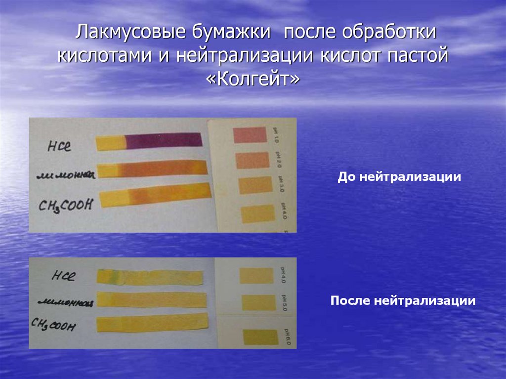 Лакмусовые бумажки после обработки кислотами и нейтрализации кислот пастой «Колгейт»