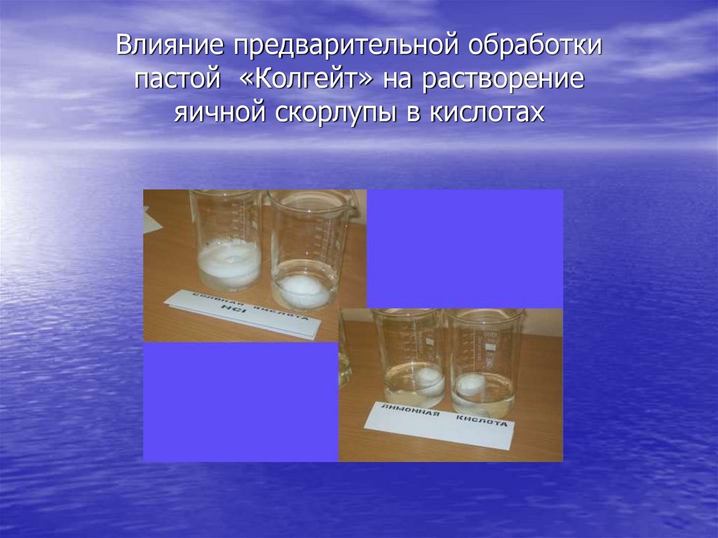 Влияние предварительной обработки пастой «Колгейт» на растворение яичной скорлупы в кислотах