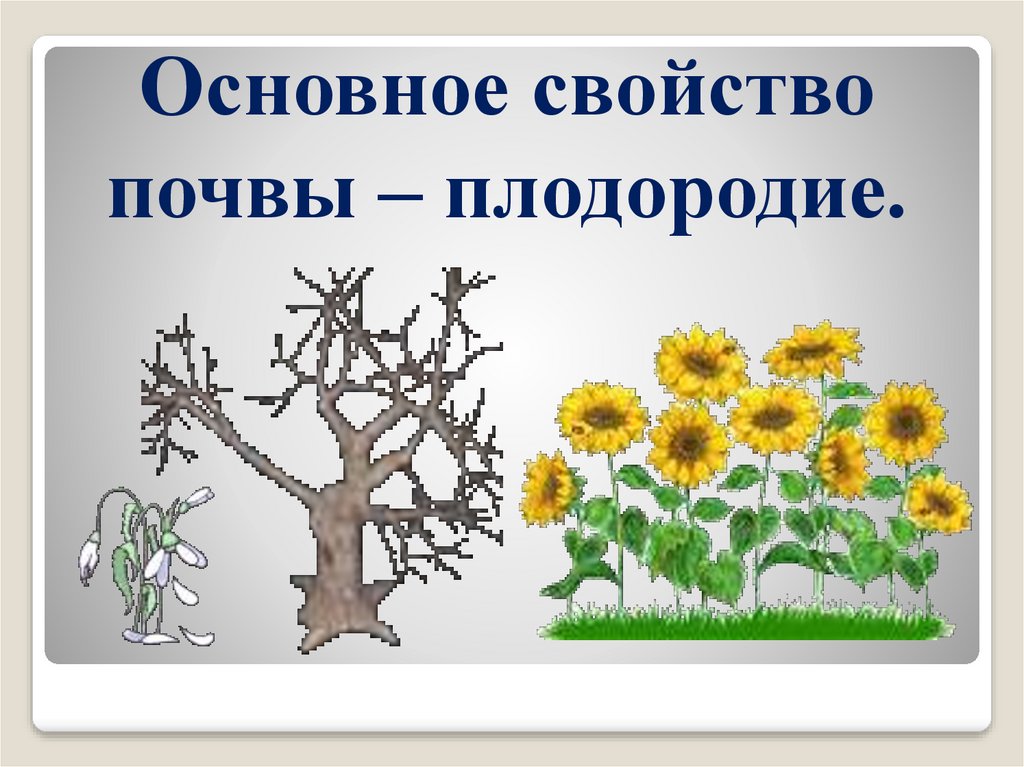 Презентация на тему плодородие почвы