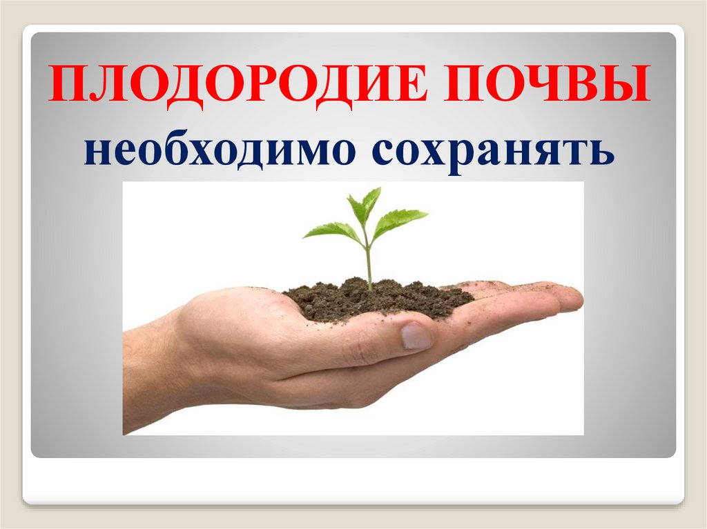 Почву надо. Плодородие почвы. Почва 4 класс презентация. Плодородие почвы зависит от. Что такое почва 4 класс.