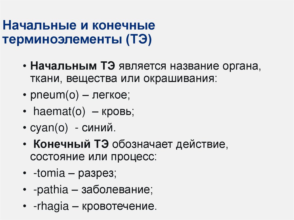 Нарушение чувствительности латынь терминоэлементы