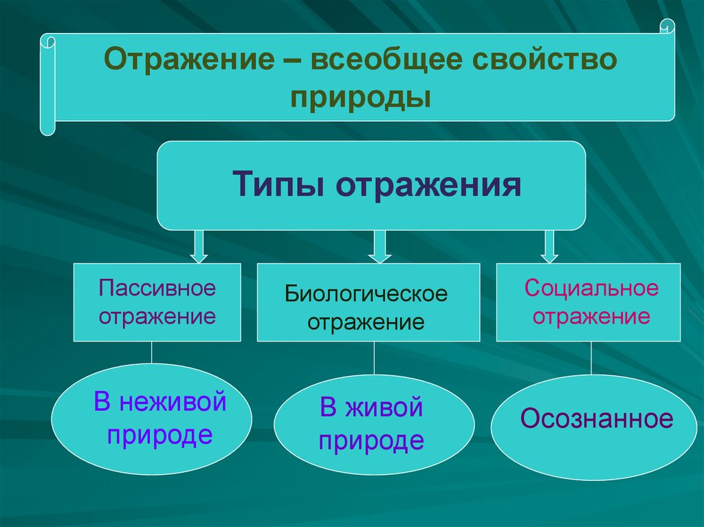 Активность как всеобщая характеристика. Философские и научные концепции о природе и структуре сознания. Социальное отражение. Биологическое отражение. Типы природы.