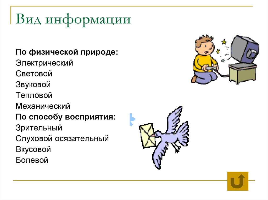 Вид информации