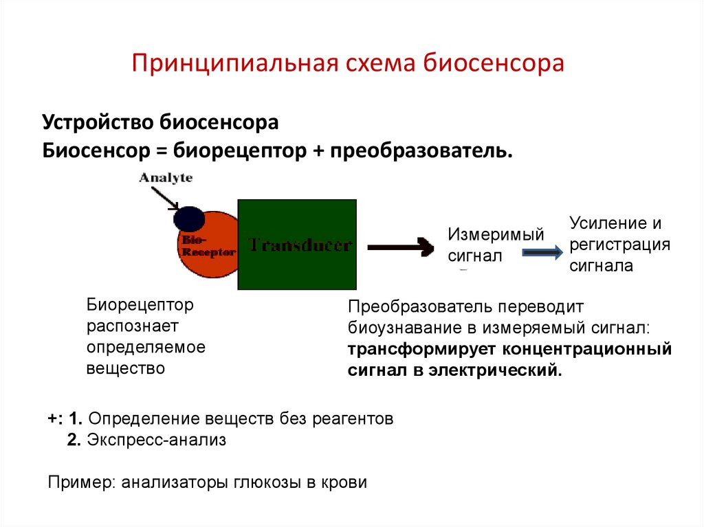 Биосенсоры для мониторинга презентация