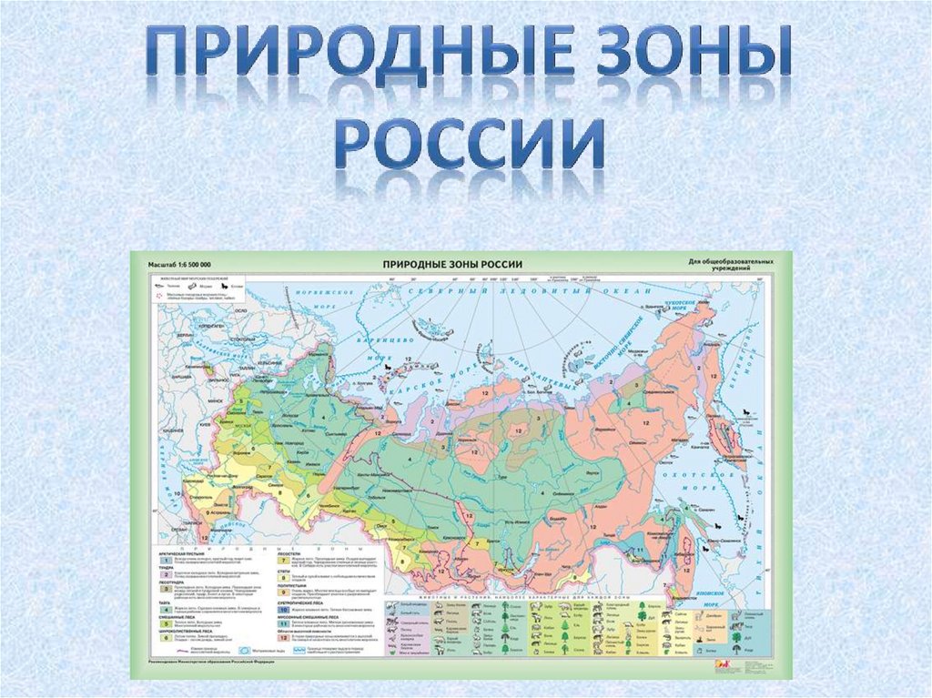 Название каждой природной зоны в россии. Карта природных зон России с городами. Природные зоны России карта 8 класс. Природные зоны России картинки. Название природных зон России.