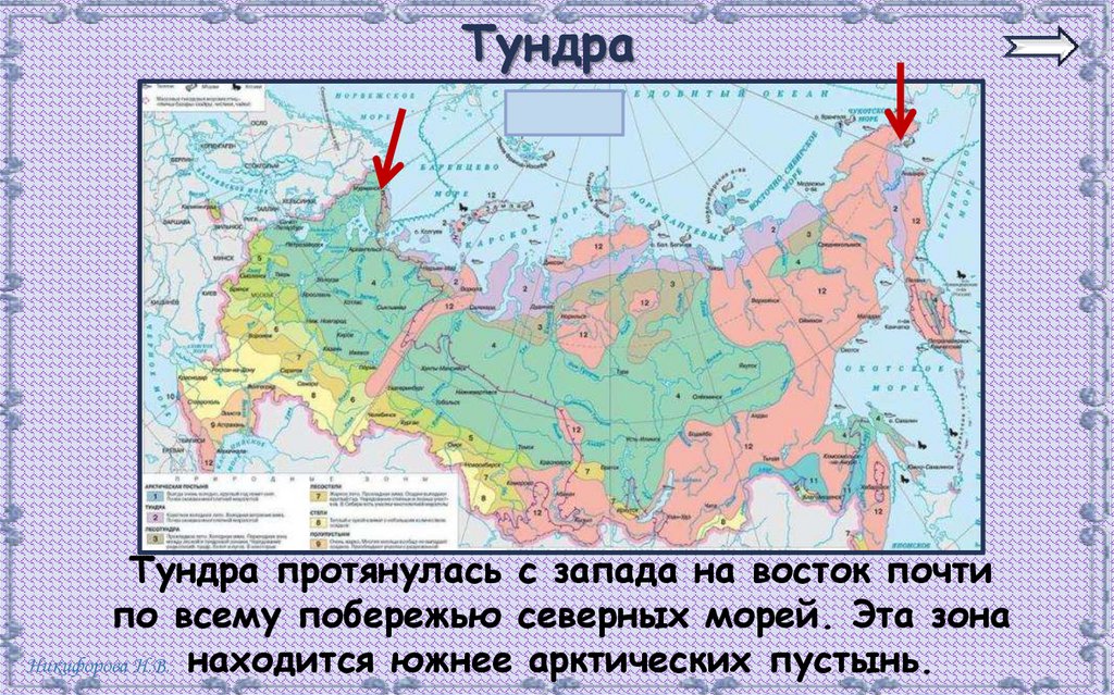 Зона тундр располагается на севере россии. Тундра протянулась с Запада на Восток почти по всему побережью. Южнее зоны арктических пустынь находится зона. Зона тундры расположена южнее или севернее Арктики. Территория России протянулась с Запада на Восток почти на.