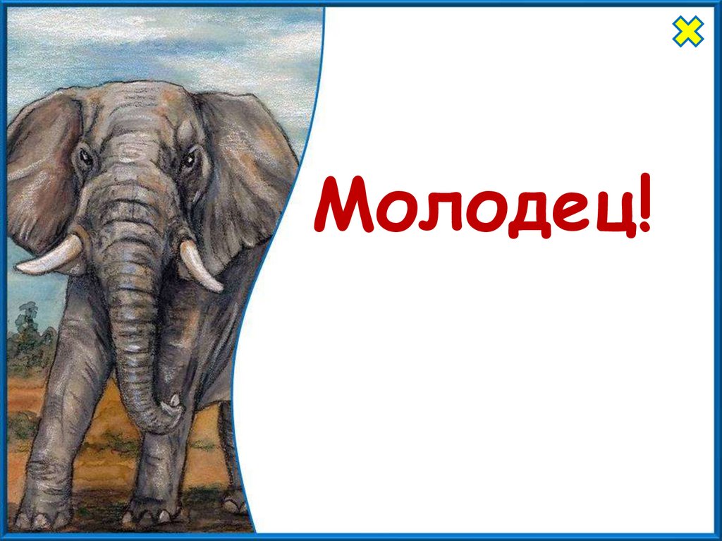 Презентация 1 класс школа россии где живут слоны 1 класс