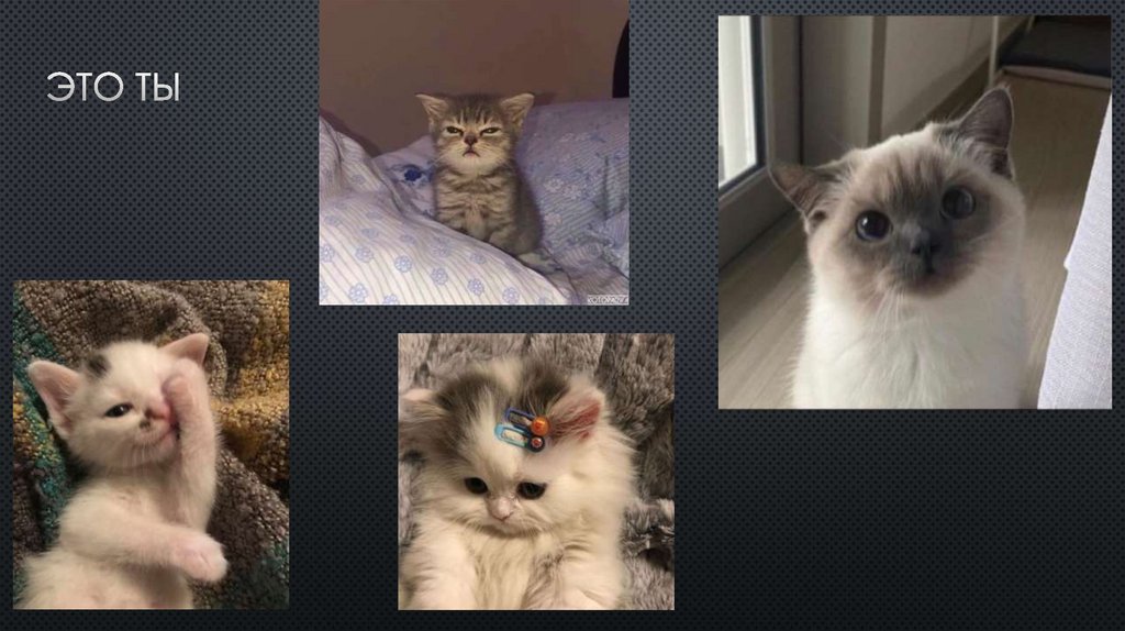 Это ты