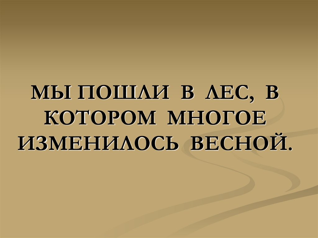 МЫ ПОШЛИ В ЛЕС, В КОТОРОМ МНОГОЕ ИЗМЕНИЛОСЬ ВЕСНОЙ.