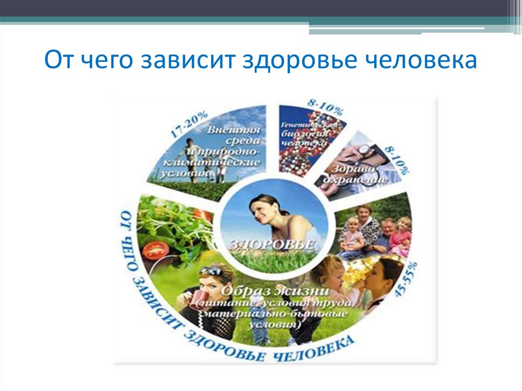 От чего зависит здоровье человека