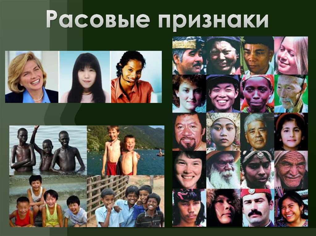 Расовые признаки