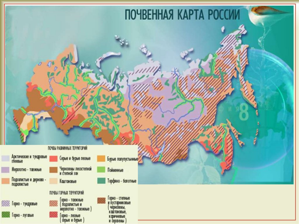 Карта типов почв россии