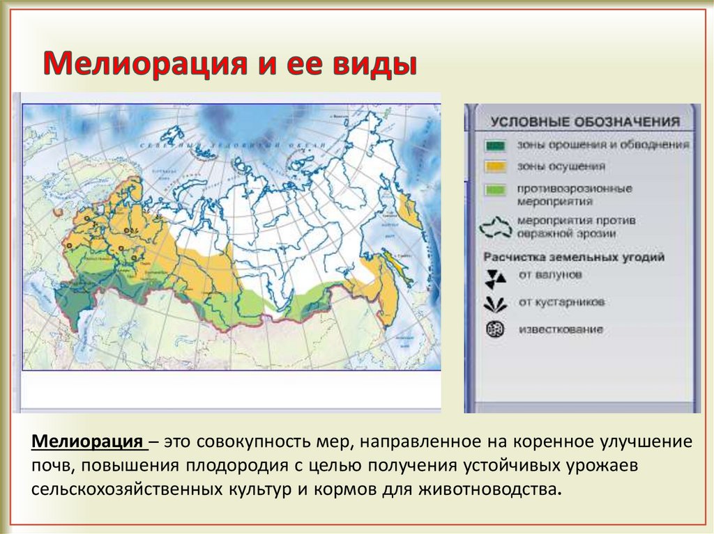 Мелиорация и ее виды