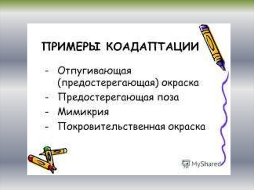 Как русак переносит неблагоприятное время. Как русак переносит неблагоприятное время