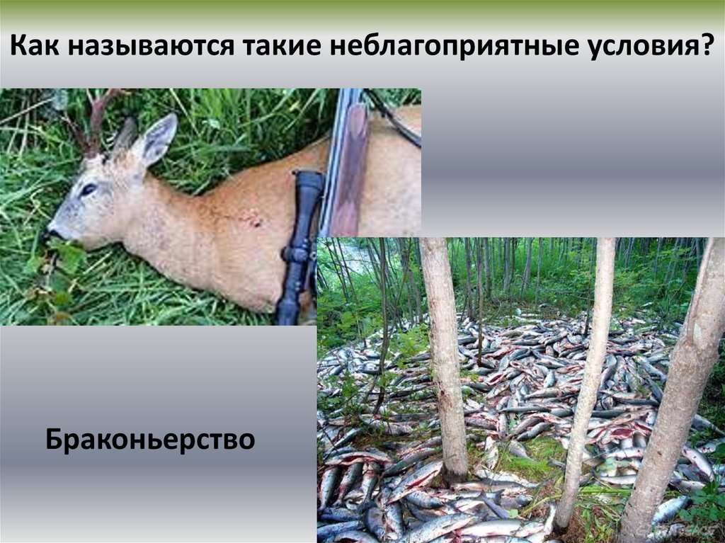 Как называются такие неблагоприятные условия?