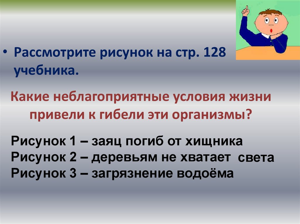 4 условия жизни