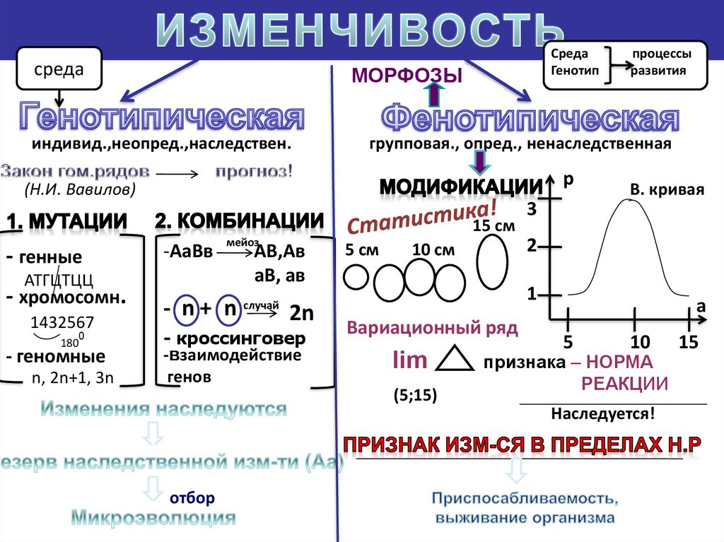 Наследственная изменчивость презентация 10 класс профильный уровень