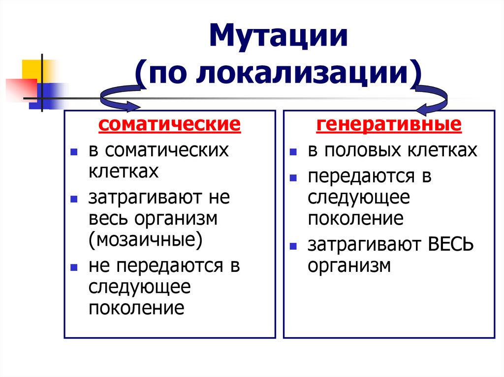 Генеративные мутации. Мутации по локализации. Мутации по локализации в клетке. Типы мутаций по локализации.