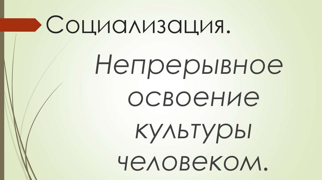 Социализация.