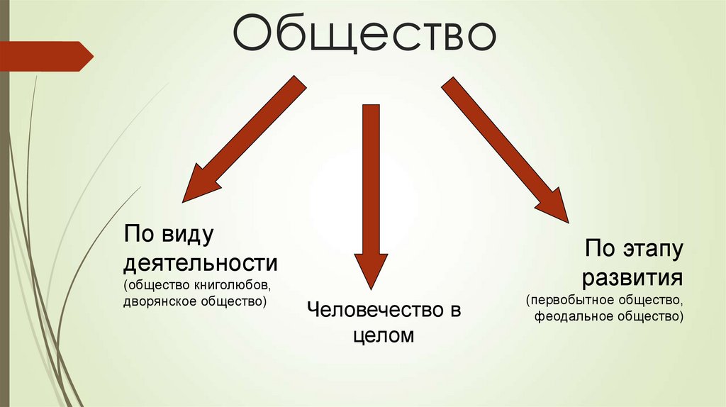 Общество
