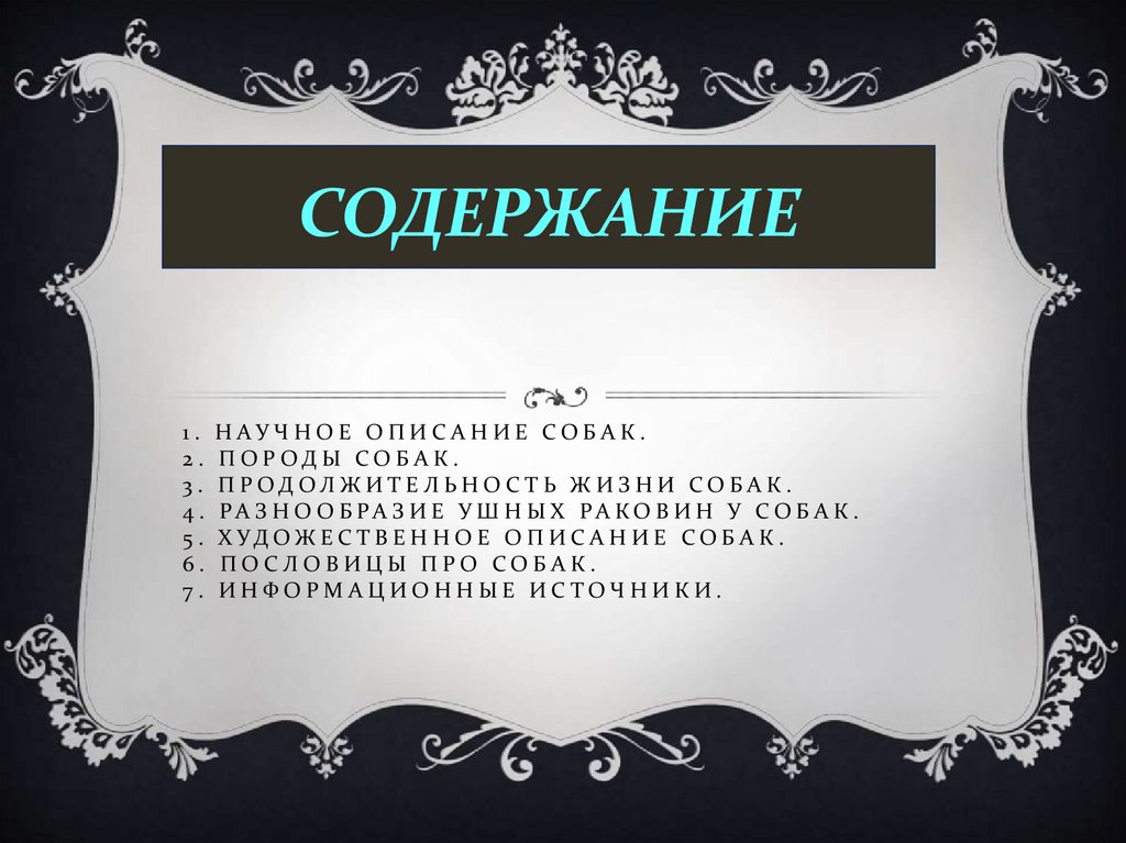 1. Научное описание собак. 2. Породы собак. 3. Продолжительность жизни собак. 4. разнообразие ушных раковин у собак. 5.