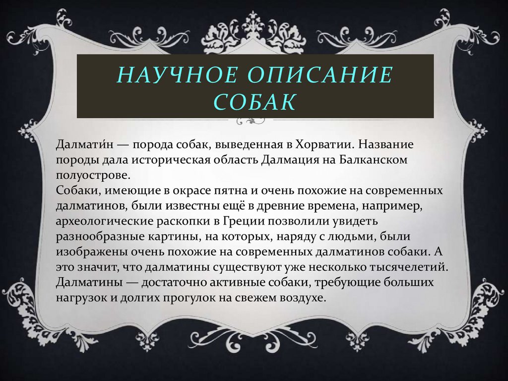 Научное описание собак