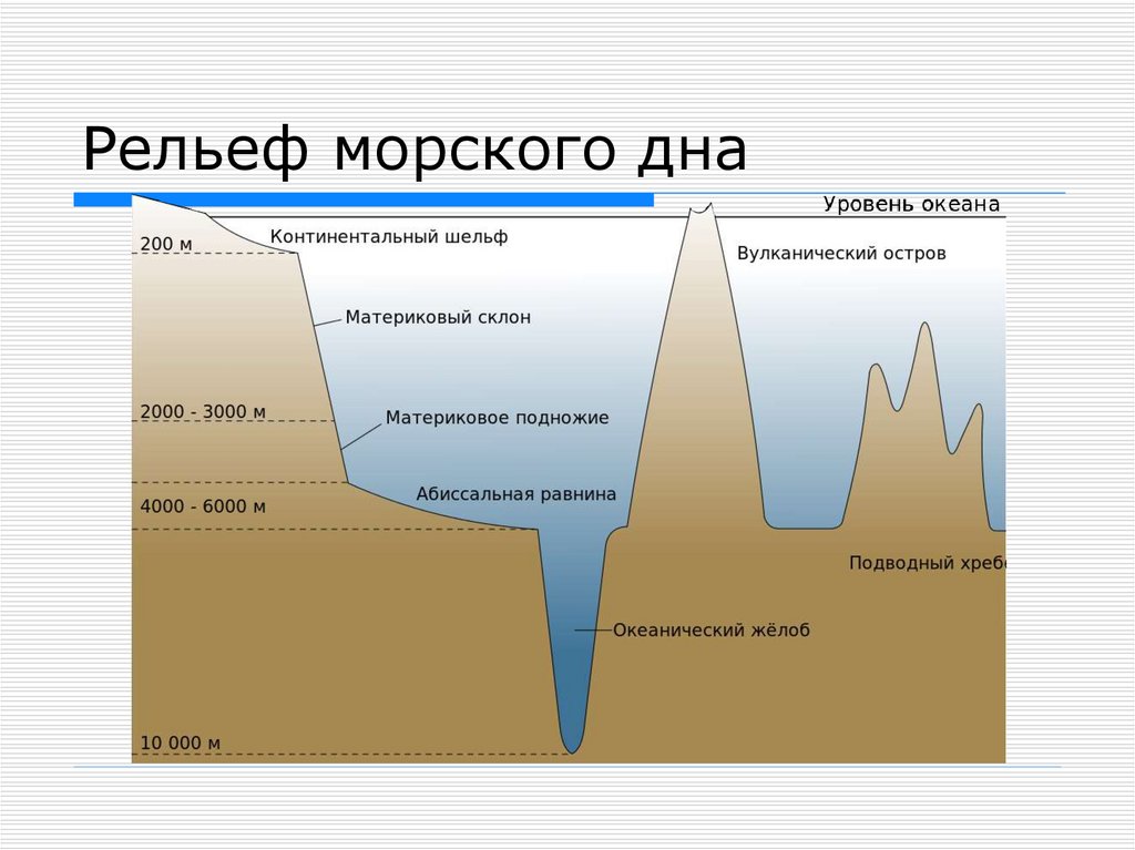 Рельеф моря