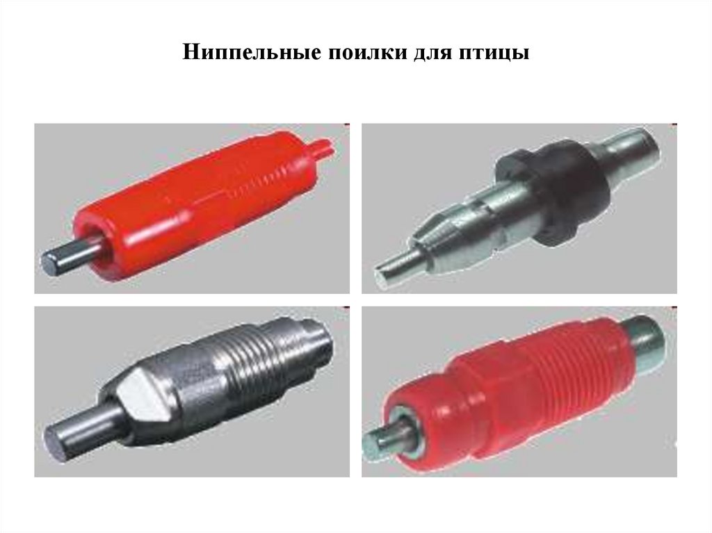 Ниппельная поилка для птиц схема