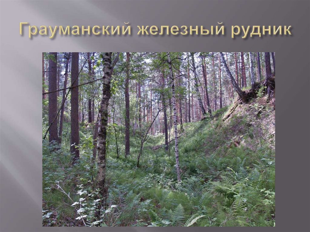 Грауманский железный рудник