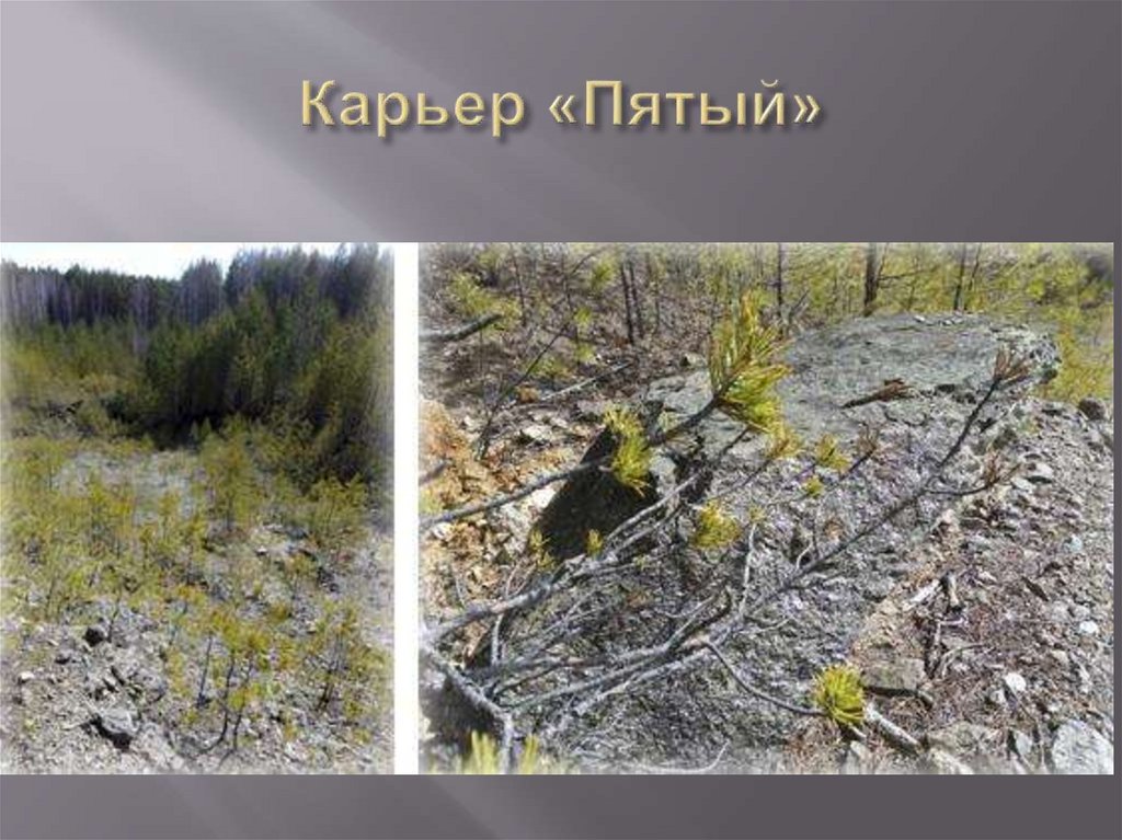 Карьер «Пятый»