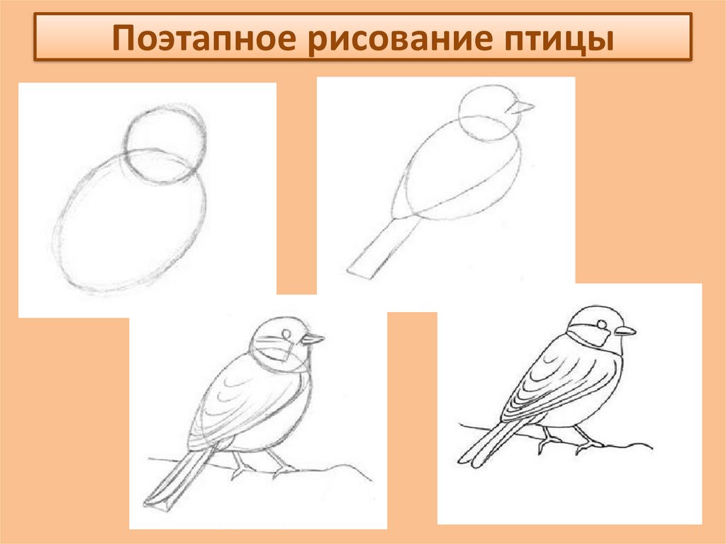 Рисование в 1 классе с презентацией и этапами работы