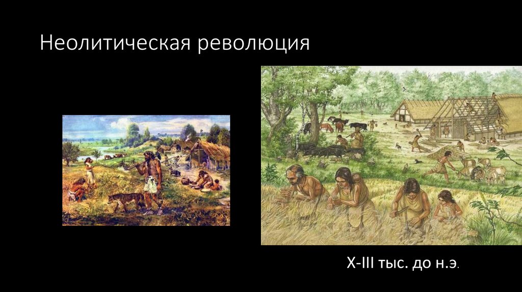 Краткая история развития сельского хозяйства - презентация онлайн