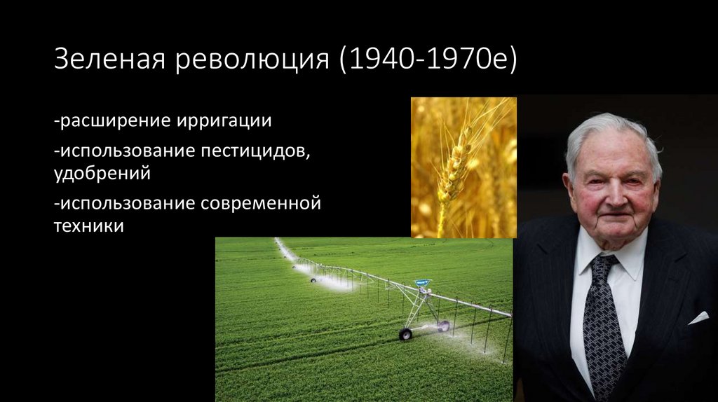 Зеленая революция (1940-1970е)