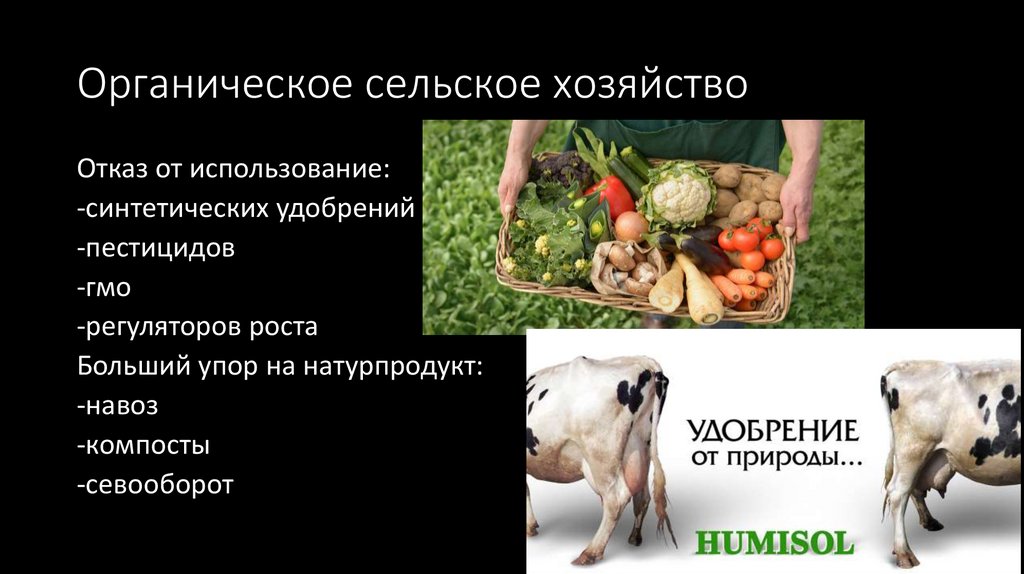 Органическое сельское хозяйство