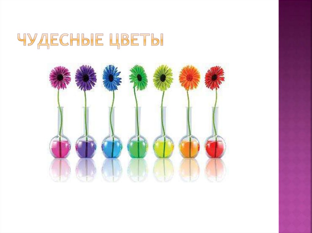 Чудесные цветы