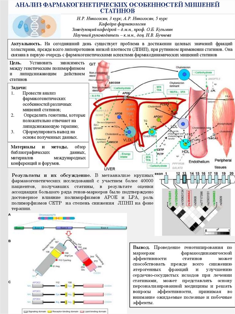 Фармакогенетика и фармакогеномика презентация