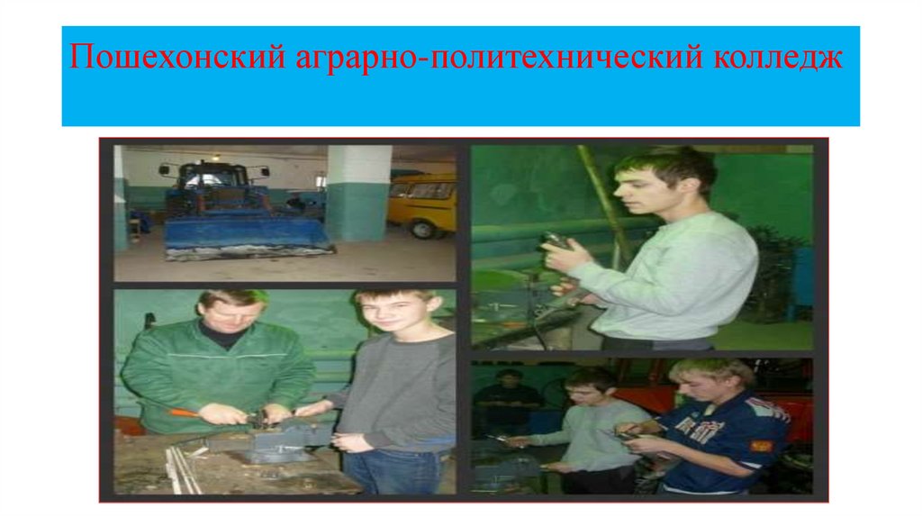 Пошехонский аграрно-политехнический колледж