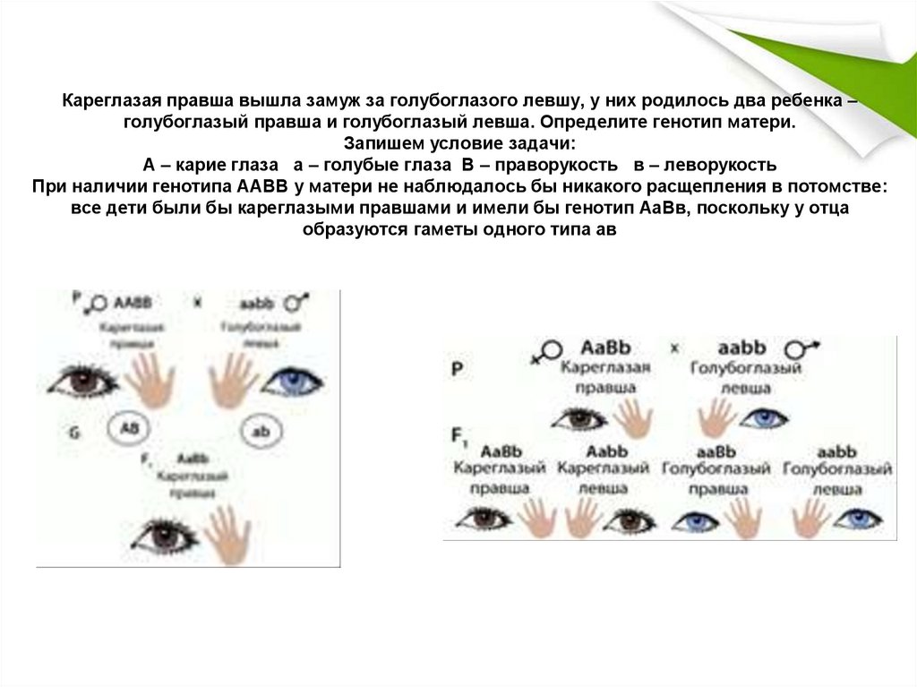 От брака кареглазой