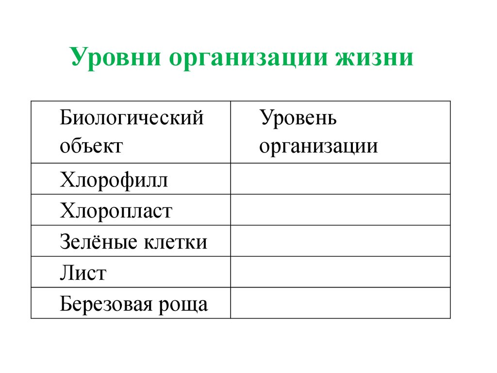 Химическая организация клетки презентация