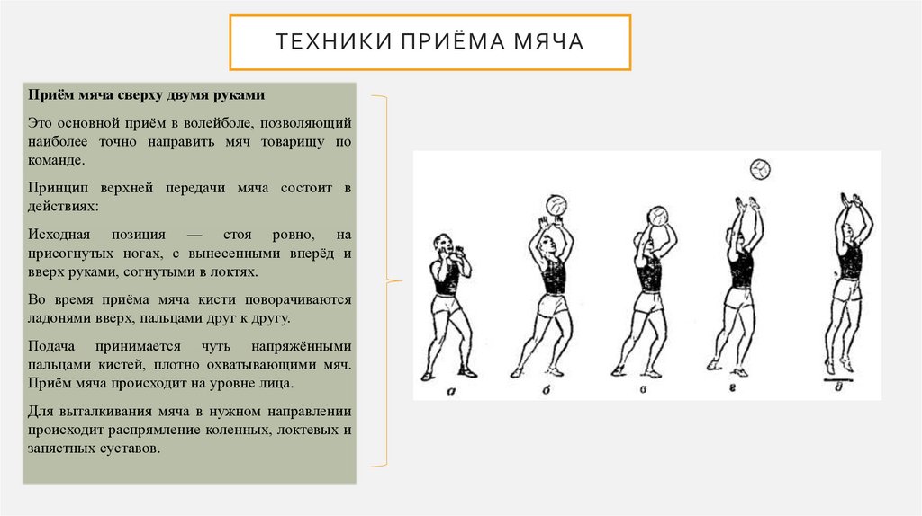 Сколько дается секунд на подачу в волейболе. Нижний прием в волейболе. Технические приемы в волейболе буклет. Буклет на тему технические приемы в волейболе. Нужны ли при верхней подаче в волейболе широчайшие спины.