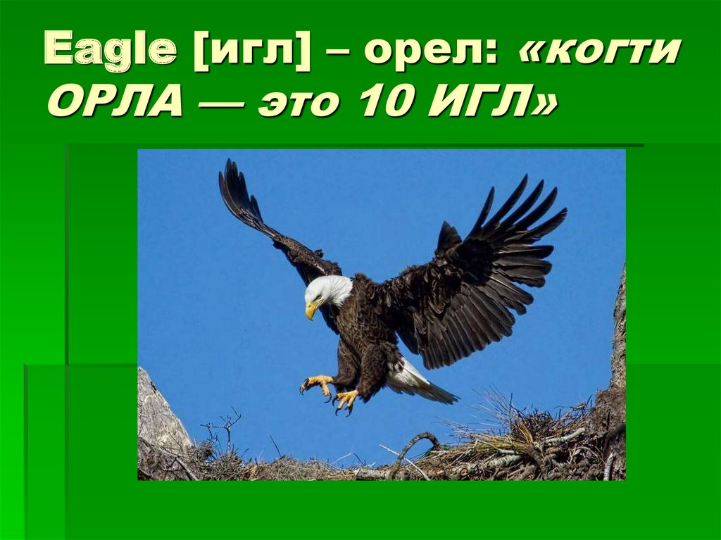 Еagle [игл] – орел: «когти ОРЛА — это 10 ИГЛ»