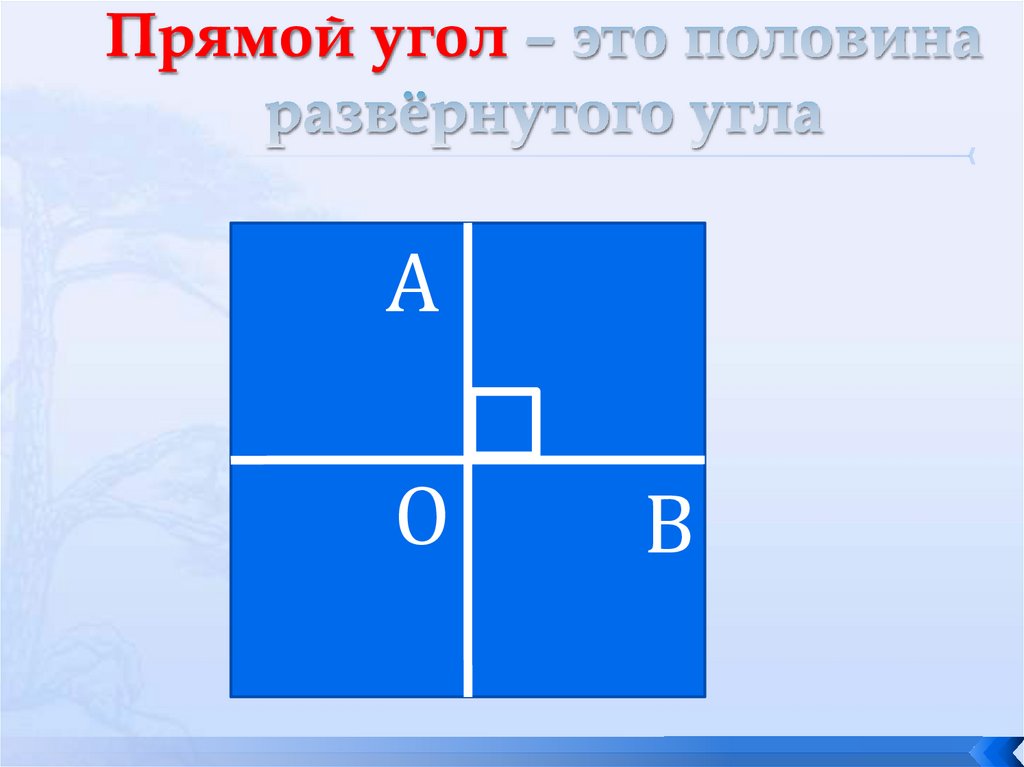 Половина это. Половина развернутого угла это. Прямым углом называют половину развернутого угла. Прямая половина. Угол прямой составляет половину развернутого.