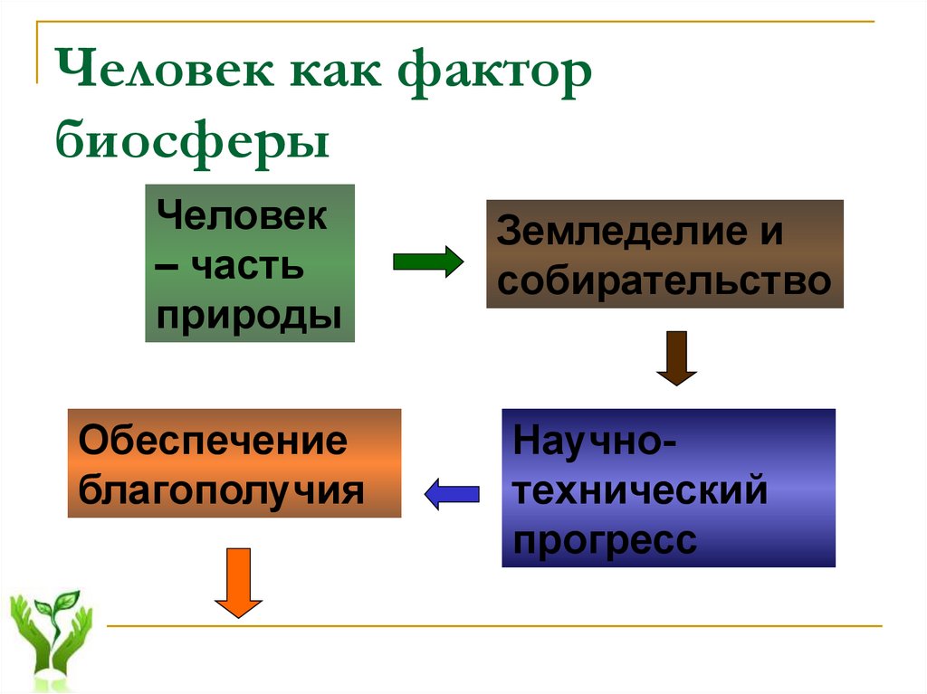 Влияние биосферы на человека схема