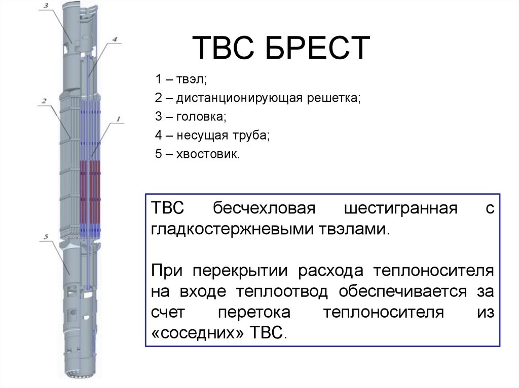 Из какого материала изготавливают оболочки твэлов. ТВС БН-800 чертеж. ТВС реактора БН 1200. Чертеж ТВС Брест. ТВС тепловыделяющая сборка.