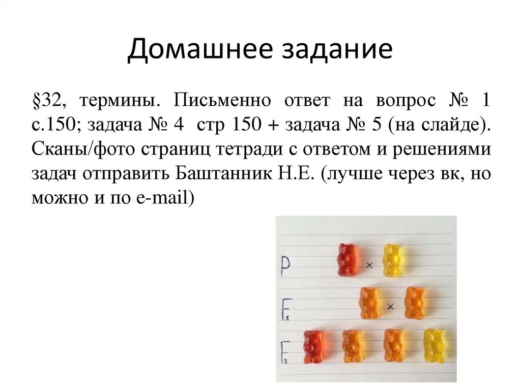 Домашнее задание